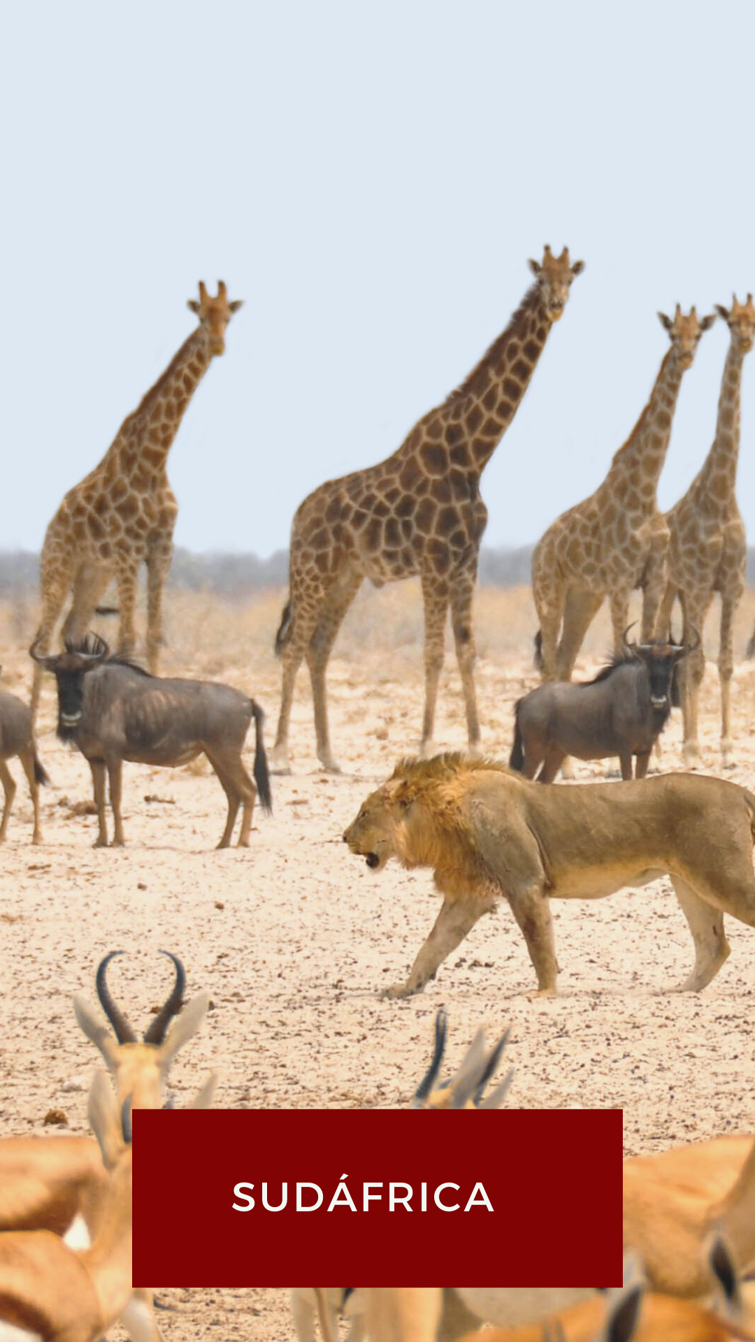 0001-12056886899_20201014_133126_0000