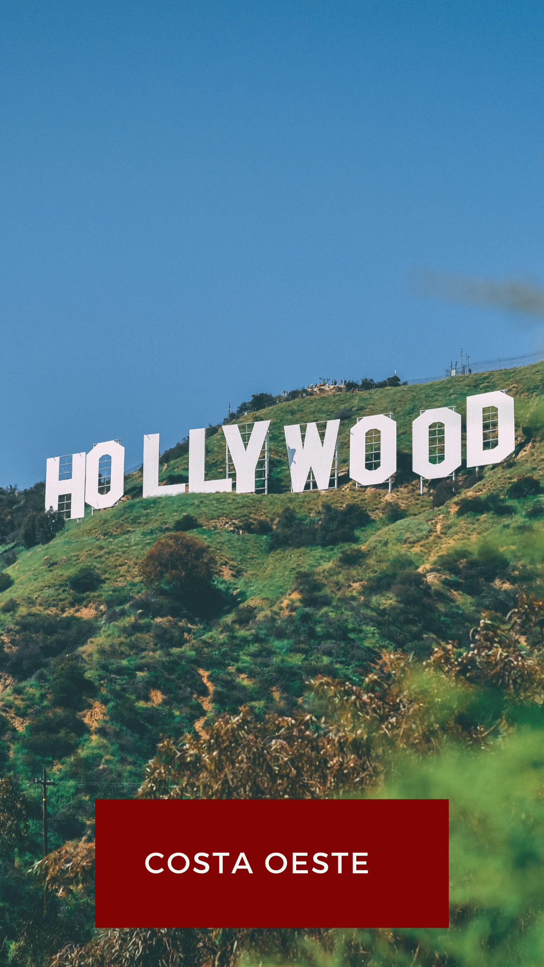 0001-12058798982_20201014_141651_0000