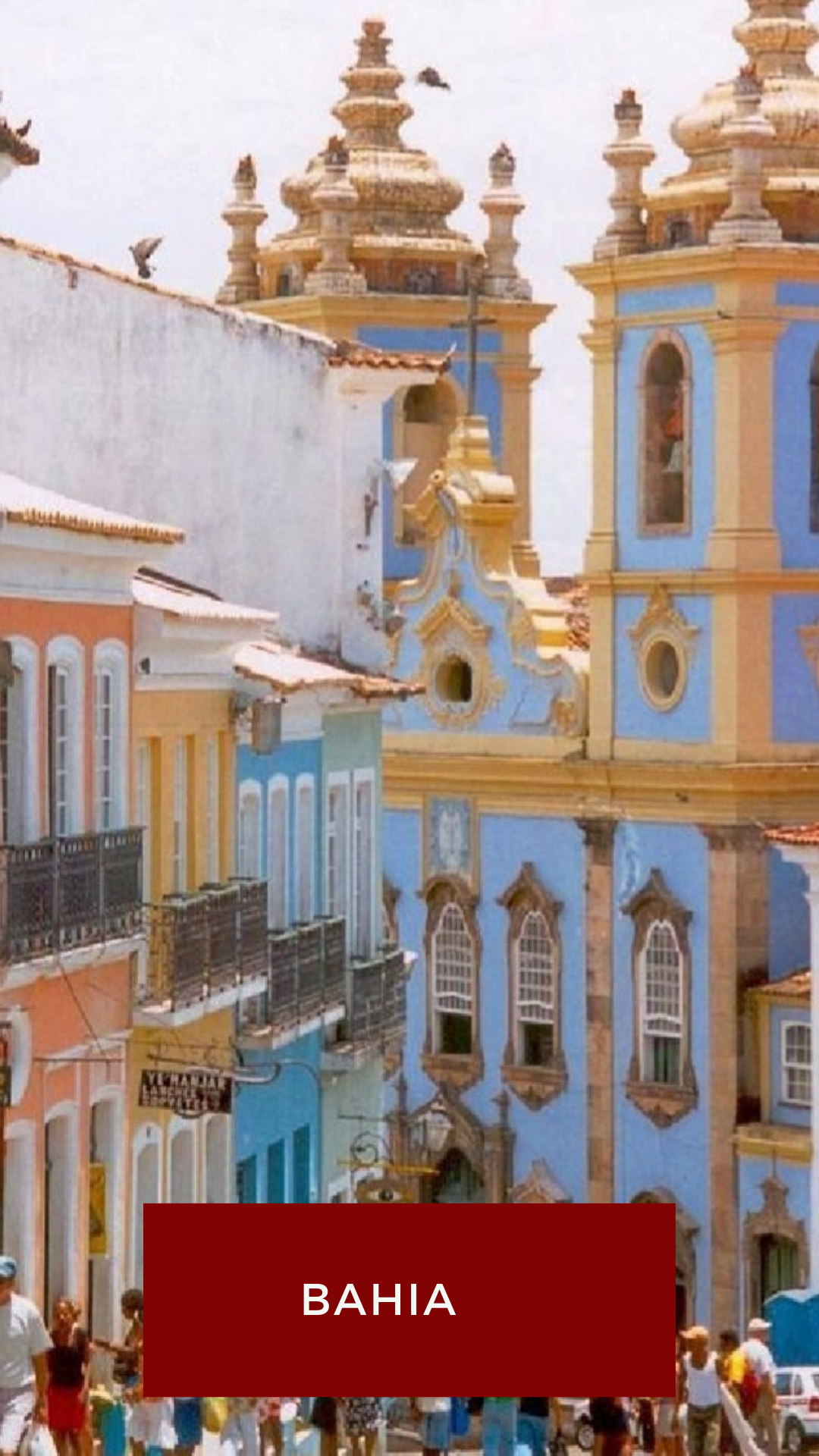 0001-12068230481_20201014_181718_0000