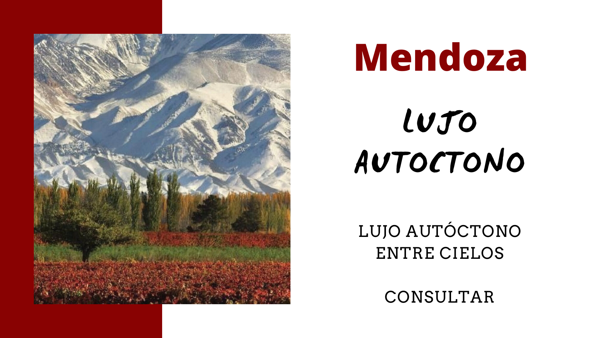 2_20201014_101147_0001